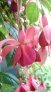 vicky_putley